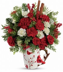 Send a Hug Christmas Cardinal from Victor Mathis Florist in Louisville, KY